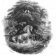 Engraving from “The Naturalist’s Library, Vol. V Part II” depicting “fishing with horses” in the Amazon. (Robert Schomburgk)